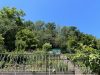 eigener Garten