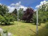 Blick in den Garten